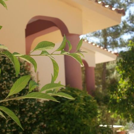 Kefallonia Bay Resort Sparta Exterior foto
