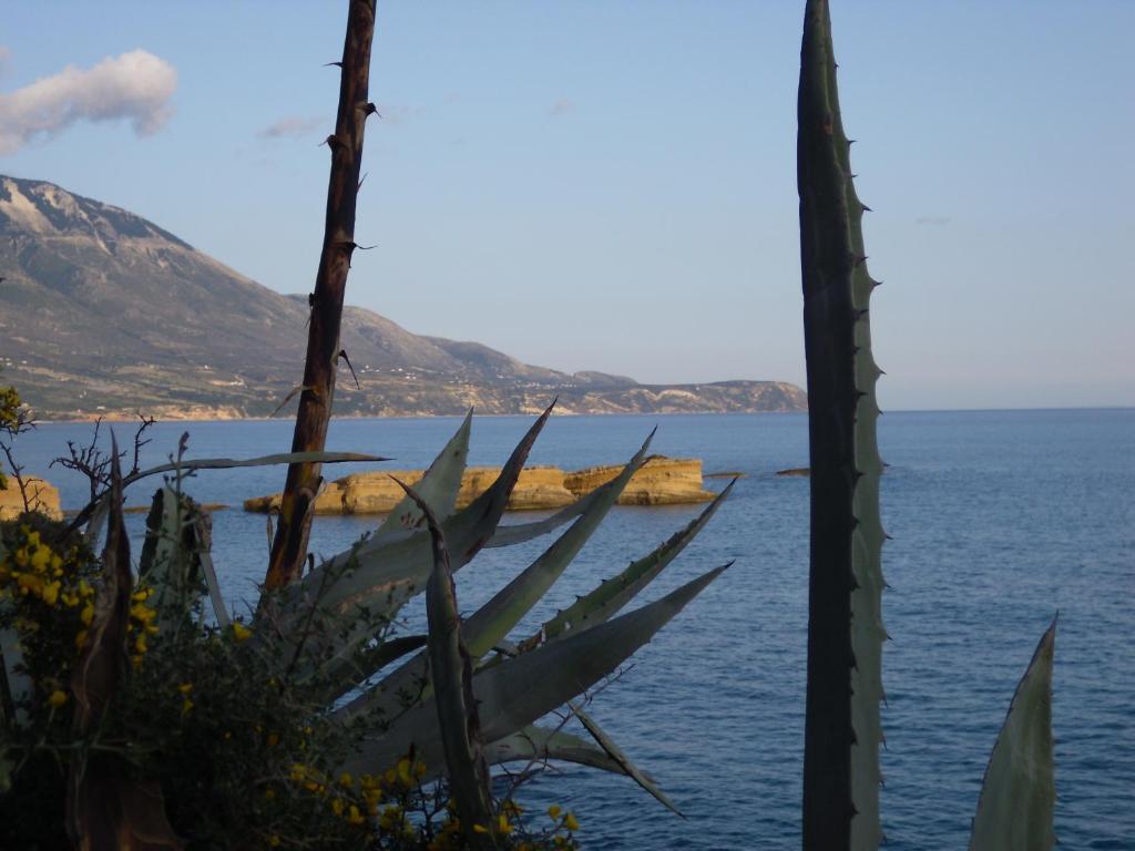 Kefallonia Bay Resort Sparta Exterior foto